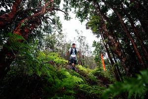 BIB: 
                            <button type="button" onclick="openModal(26201333)" class="btn btn-primary btn-sm float-right btn-popup" data-toggle="modal" data-target=".modal-high-quality">
                        <i class="fas fa-shopping-cart"></i> Add to Cart
                    </button>
                                            <button type="button" onclick="isThisMe(26201333, true)" class="btn btn-success btn-sm float-right btn-popup btn-isme hidden" data-toggle="tooltip" data-placement="bottom" title="นี่คือรูปของคุณใช่ไหม คลิกที่นี่เพื่อเอาเข้าอัลบั้ม">
                        <i class="fas fa-plus"></i> Add to album
                    </button>
                    <button type="button" onclick="isThisMe(26201333, false)" class="btn btn-warning btn-sm float-right btn-popup btn-isnotme hidden">
                        <i class="fas fa-ban"></i> Remove from album
                    </button>